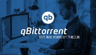 轻量级BT客户端 qBittorrent v4.2.5.13