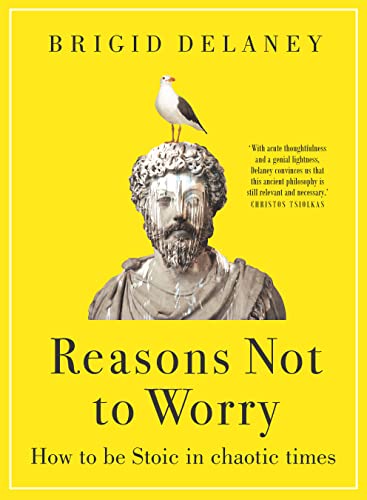 Reasons Not to Worry : How to Be Stoic in Chaotic Times by Brigid Delaney