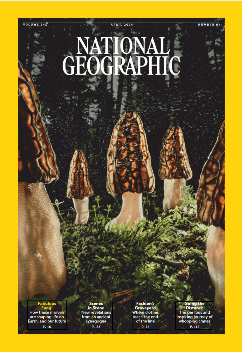 美国国家地理杂志-2024-04 National Geographic