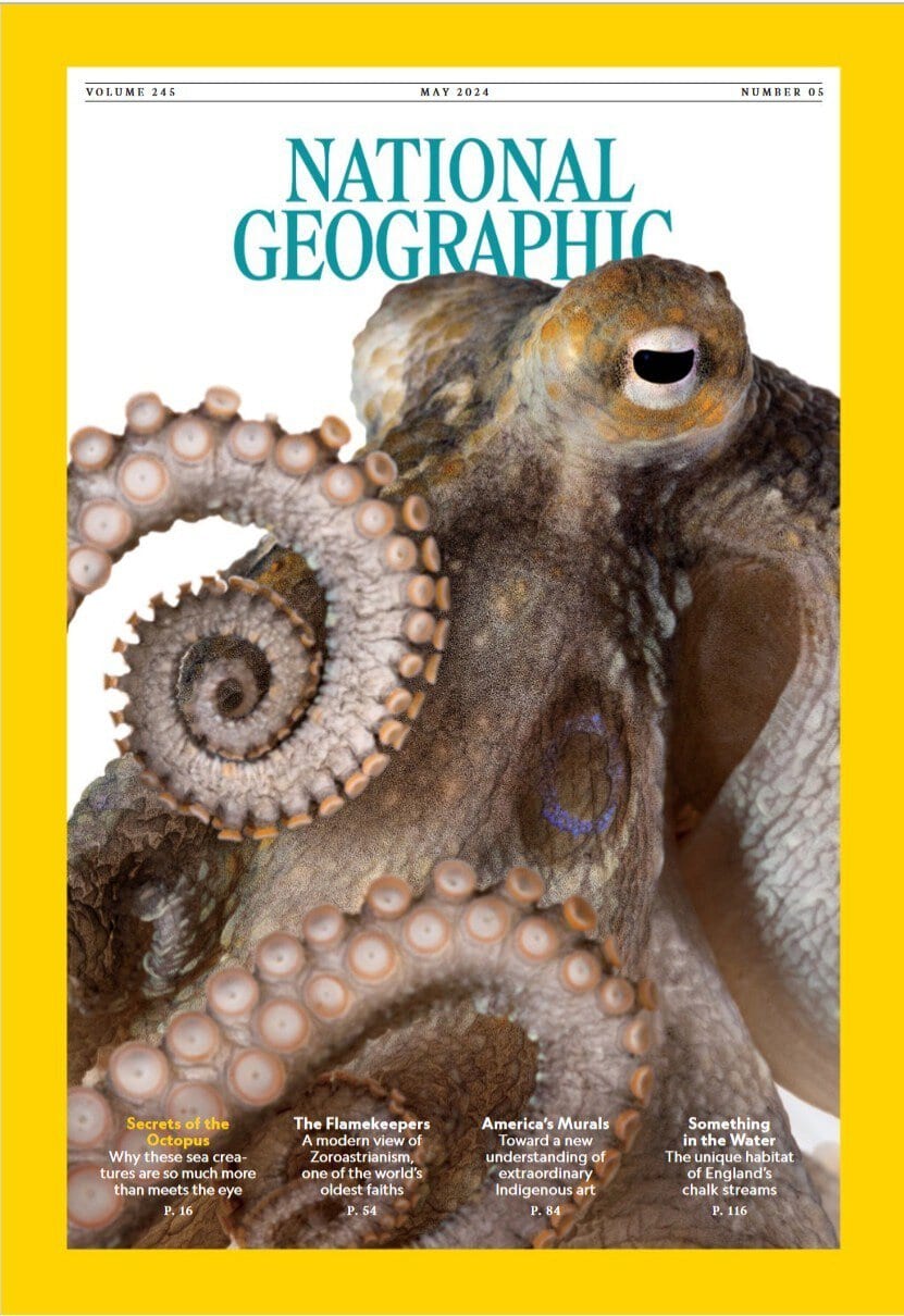 美国国家地理杂志-2024-05 National Geographic